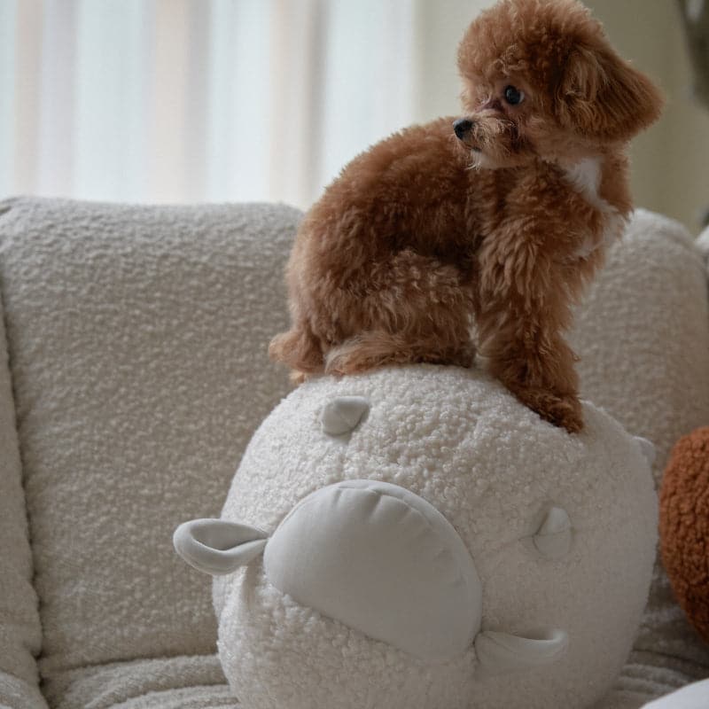 Baaah Sheep cushion - grado