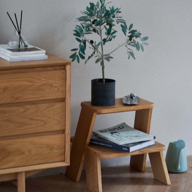 Fido Stepstool - grado